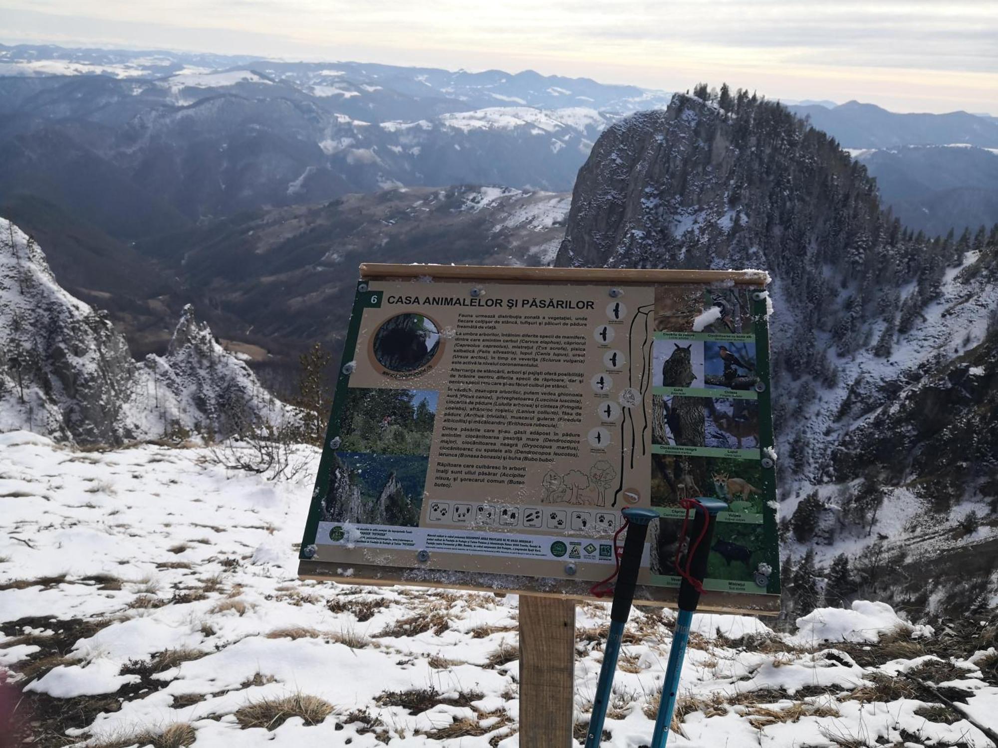 Pensiunea Piatra Mandrutului Scarisoara  Exterior foto