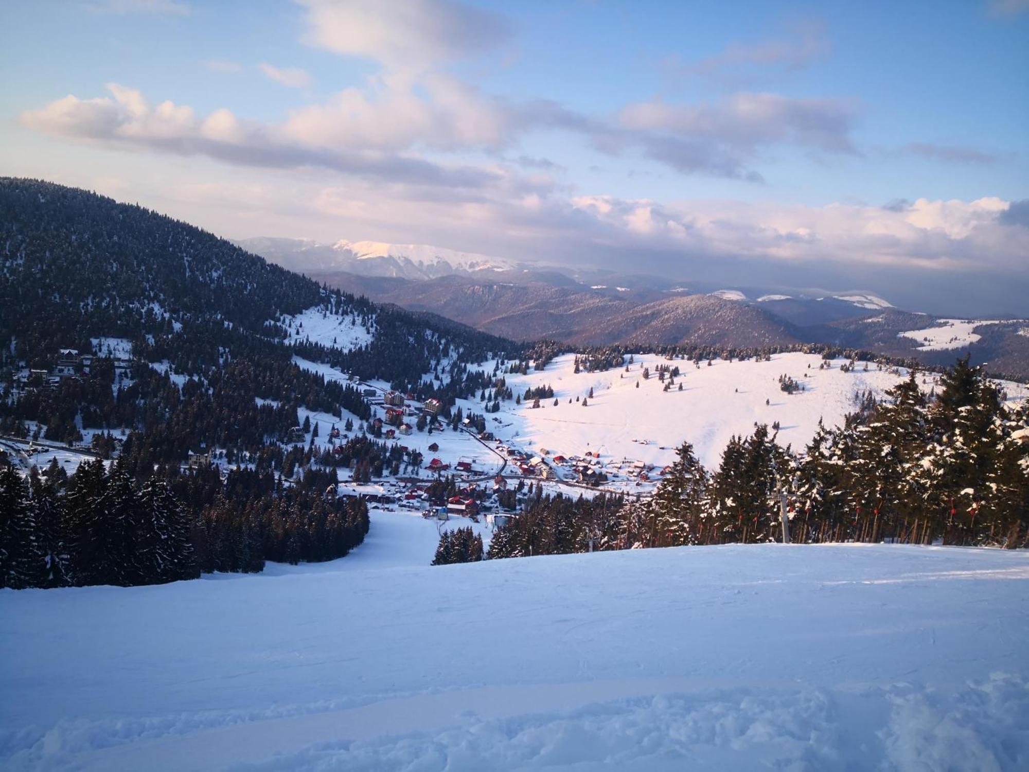 Pensiunea Piatra Mandrutului Scarisoara  Exterior foto