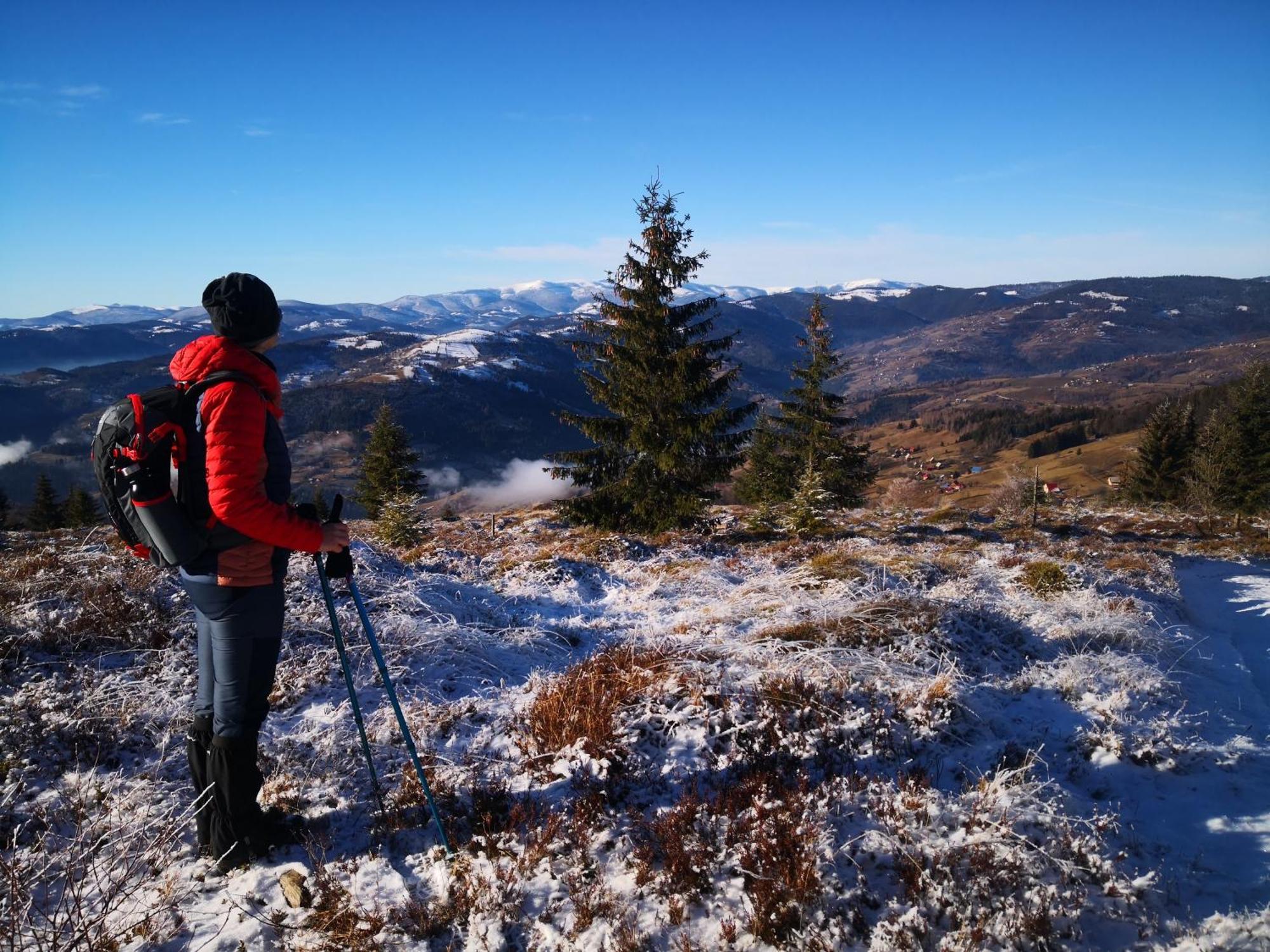 Pensiunea Piatra Mandrutului Scarisoara  Exterior foto