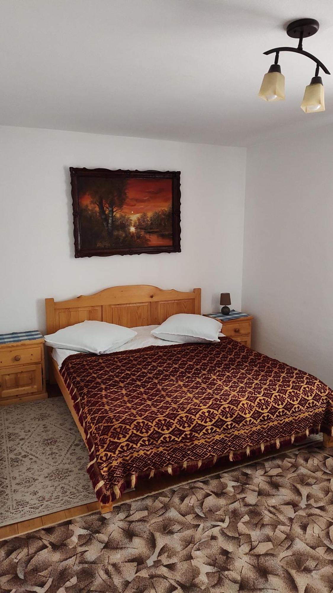 Pensiunea Piatra Mandrutului Scarisoara  Exterior foto