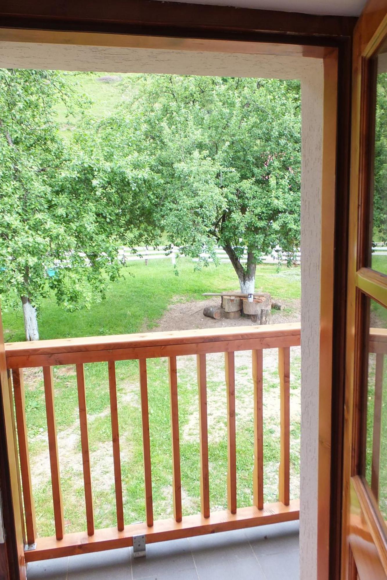 Pensiunea Piatra Mandrutului Scarisoara  Habitación foto