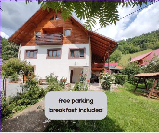 Pensiunea Piatra Mandrutului Scarisoara  Exterior foto