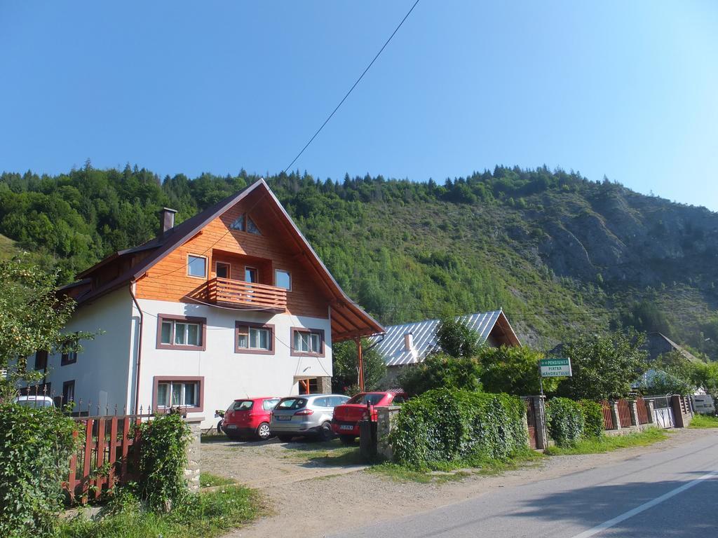 Pensiunea Piatra Mandrutului Scarisoara  Exterior foto