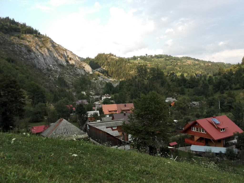 Pensiunea Piatra Mandrutului Scarisoara  Exterior foto