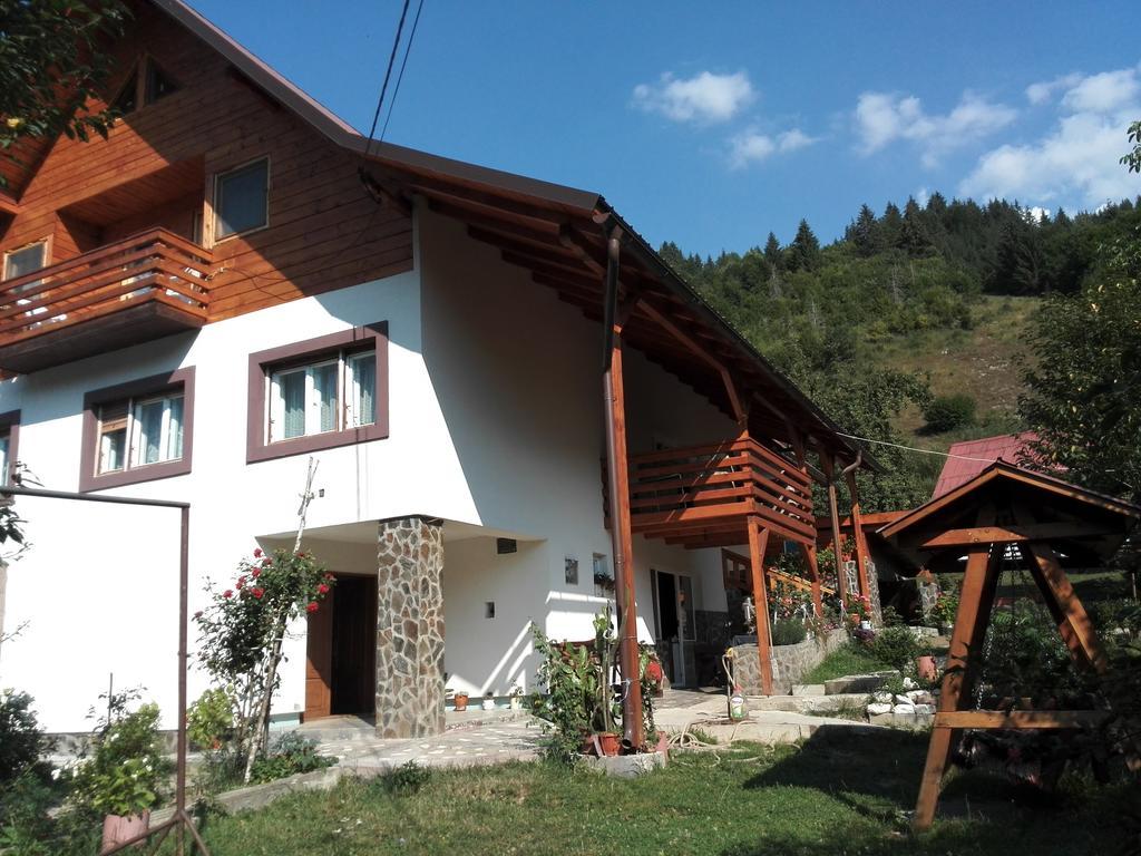 Pensiunea Piatra Mandrutului Scarisoara  Exterior foto