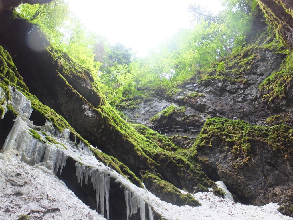 Pensiunea Piatra Mandrutului Scarisoara  Exterior foto