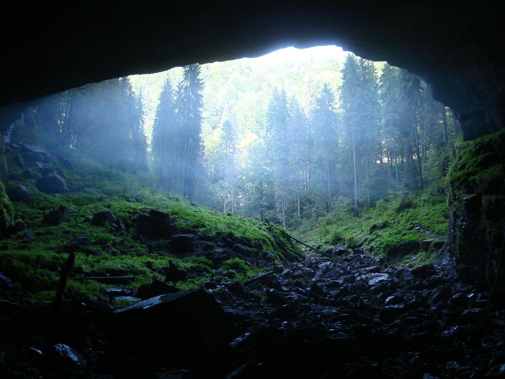 Pensiunea Piatra Mandrutului Scarisoara  Exterior foto