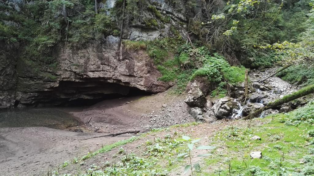 Pensiunea Piatra Mandrutului Scarisoara  Exterior foto
