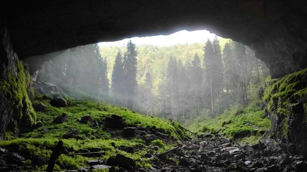 Pensiunea Piatra Mandrutului Scarisoara  Exterior foto