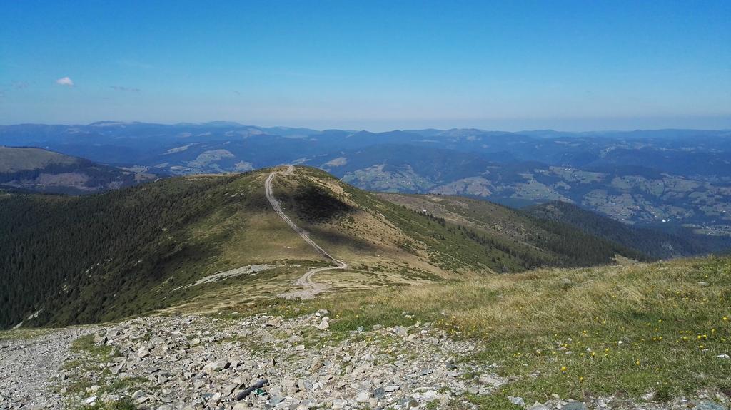 Pensiunea Piatra Mandrutului Scarisoara  Exterior foto