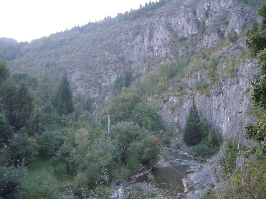 Pensiunea Piatra Mandrutului Scarisoara  Exterior foto
