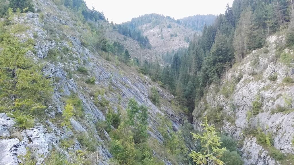 Pensiunea Piatra Mandrutului Scarisoara  Exterior foto